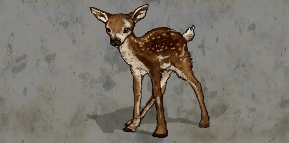 Baby Deer
