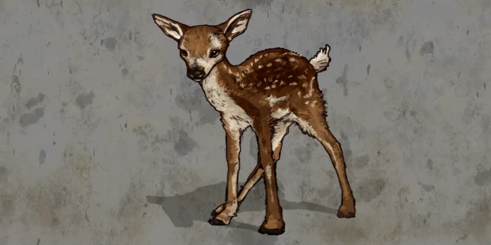 Baby Deer - Os Plancenta